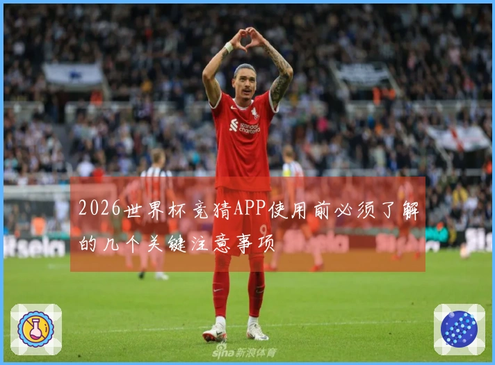 2026世界杯竞猜APP使用前必须了解的几个关键注意事项