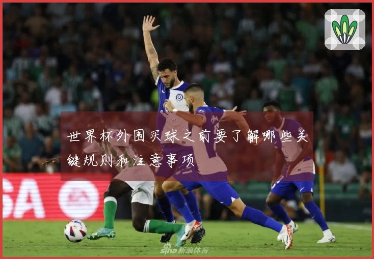 世界杯外围买球之前要了解哪些关键规则和注意事项